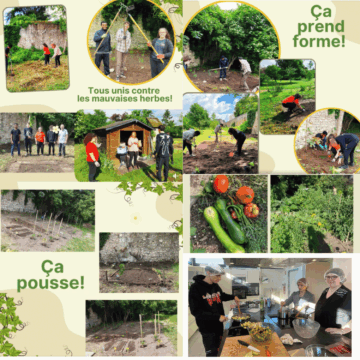 Jardin Potager